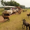 Reino Animal alcanza la más alta distinción en responsabilidad ambiental