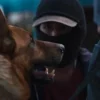 “El ladrón de perros” se lleva la Biznaga de Oro