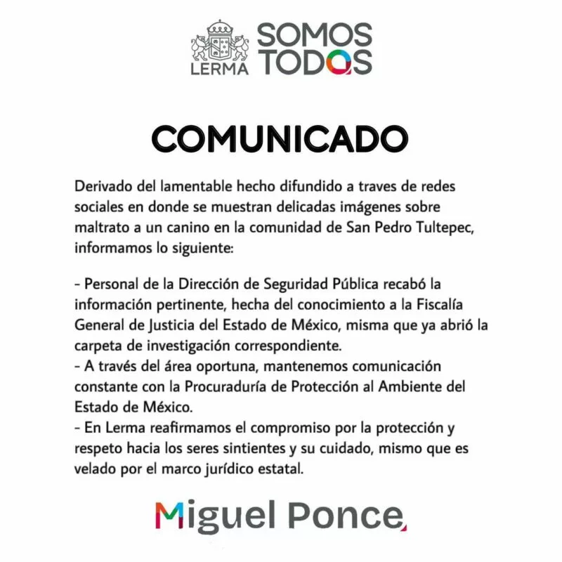 Alcalde de Lerma se pronuncia sobre caso de maltrato animal en San Pedro Tultepec