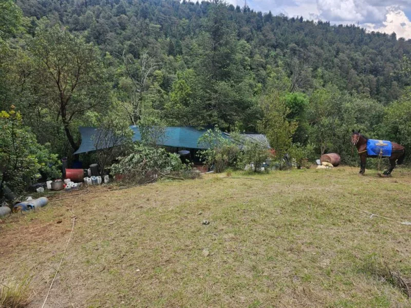 Localizan aparente laboratorio de drogas clandestino en Otzolotepec.