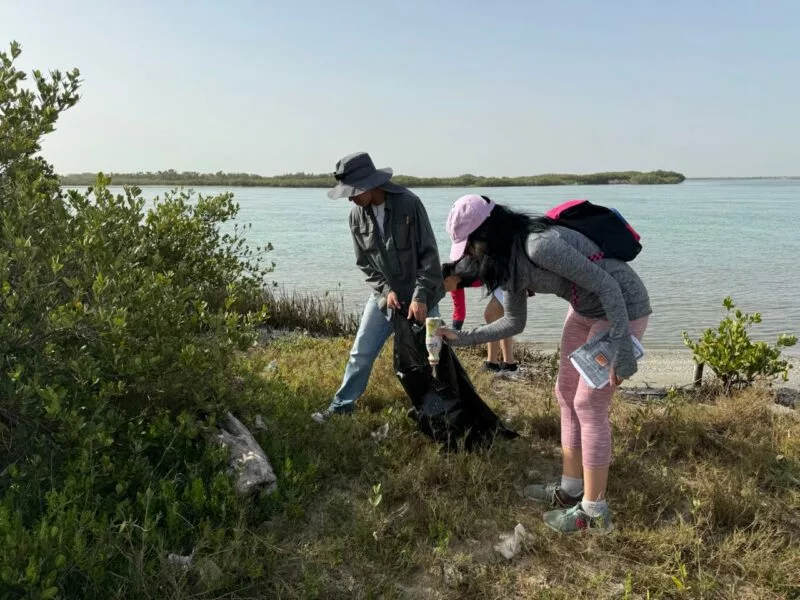 Colabora la UAT en la conservación del mangle en el litoral tamaulipeco