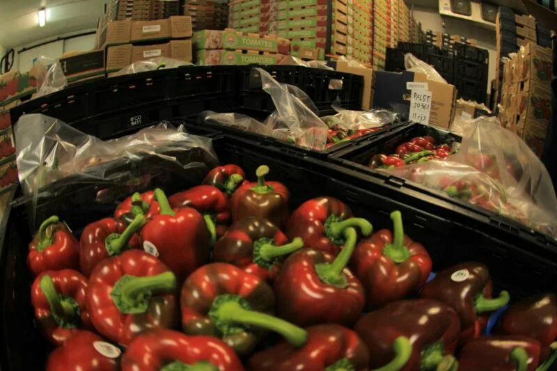 Las MIPYMES de Guanajuato muestran fortaleza pese a la caída general de exportaciones