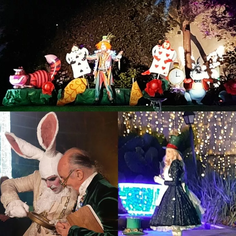 Alice Christmas su objetivo  es descongelar corazones