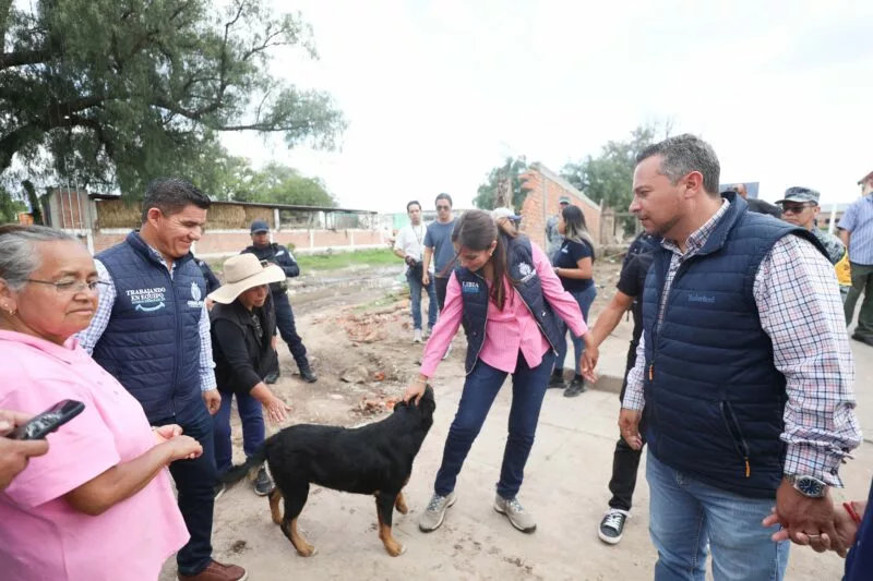 En Guanajuato la protección y bienestar animal ya son un derecho en nuestra Constitución   