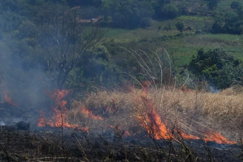 Implementa Gobierno del EdoMéx plan en la región sur para prevenir incendios forestales por quemas agropecuarias