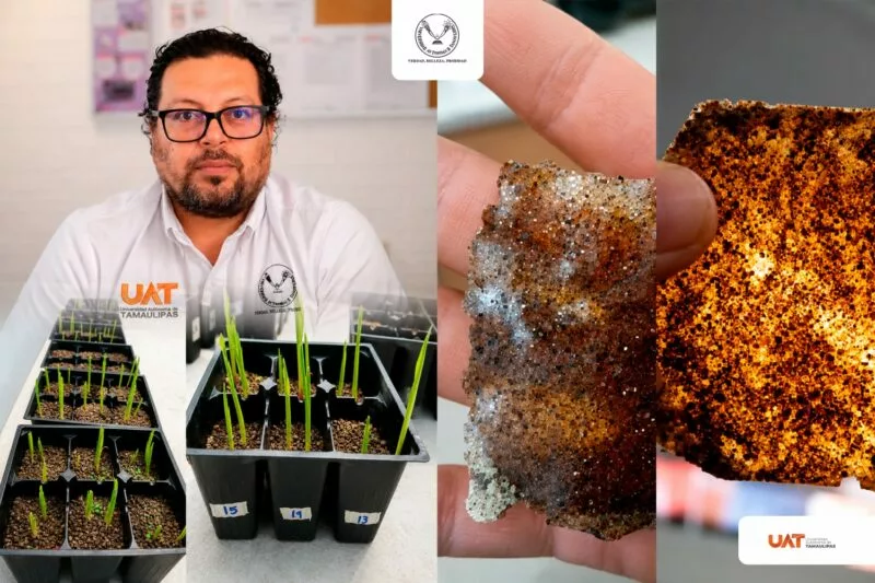 Patenta la UAT bioplásticos que recuperan suelos erosionados