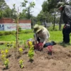 Impulsa Toluca la instalación de 100 jardines polinizadores