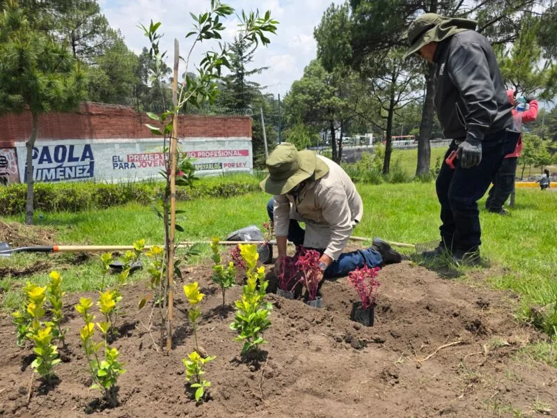 Impulsa Toluca la instalación de 100 jardines polinizadores