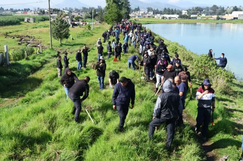 Comienza rescate del humedal Bordo San Jerónimo en Toluca