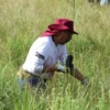 Recupera Ricardo Moreno espacios verdes con estrategia de arborización histórica