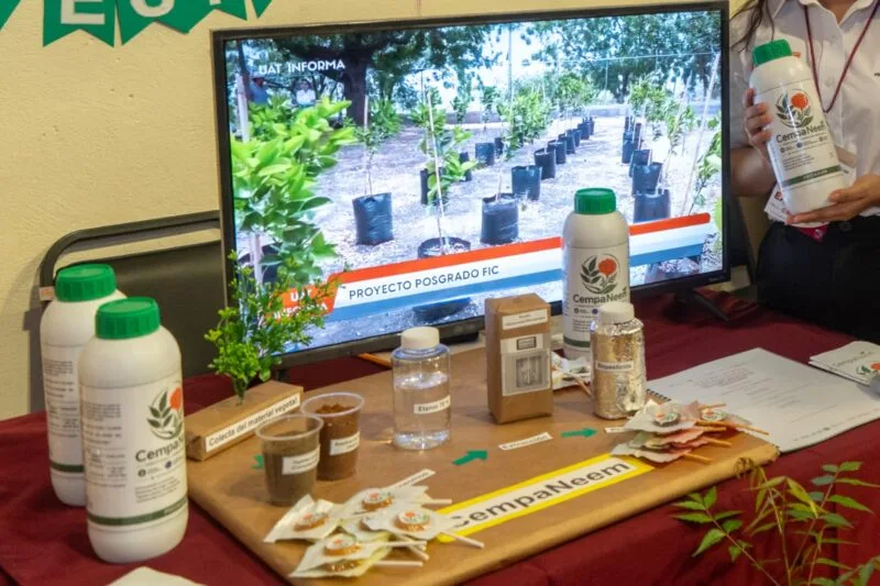 Desarrolla alumna de la UAT biopesticida que elimina plagas agrícolas
